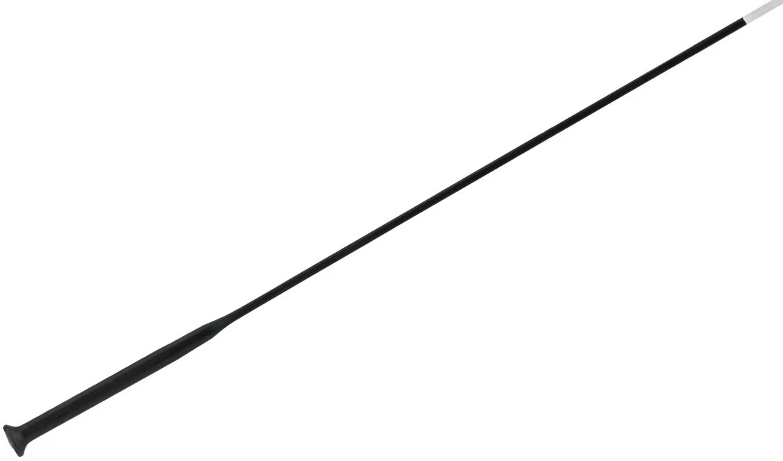 Campagnolo® Rayons Bora Ultra 50 – Image 2