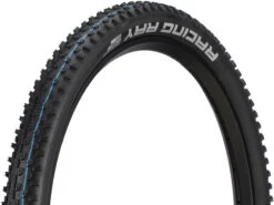Schwalbe Pneu Souple Racing Ray Evolution ADDIX SpeedGrip Super Ground 26"